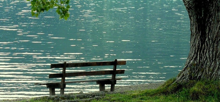 Bench by Lake with Tree on the Side