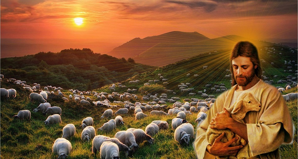 Jesus, the Shepherd on the Hills with Sheep