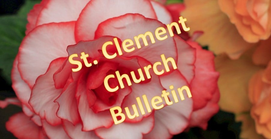 St. Clement Church Bulletin - Background Pink Begonia