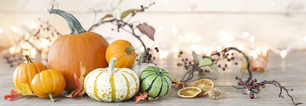 Thanksgiving Pumpkins