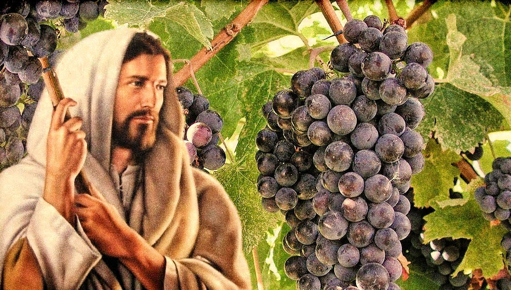 Jesus and Bunch of Grapes