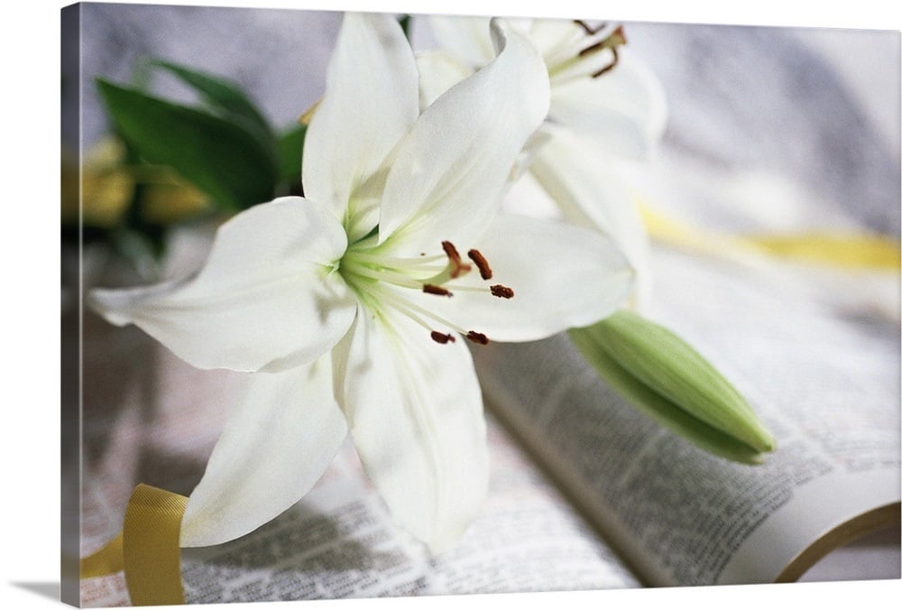 White Lilies Lying Over Open Bible